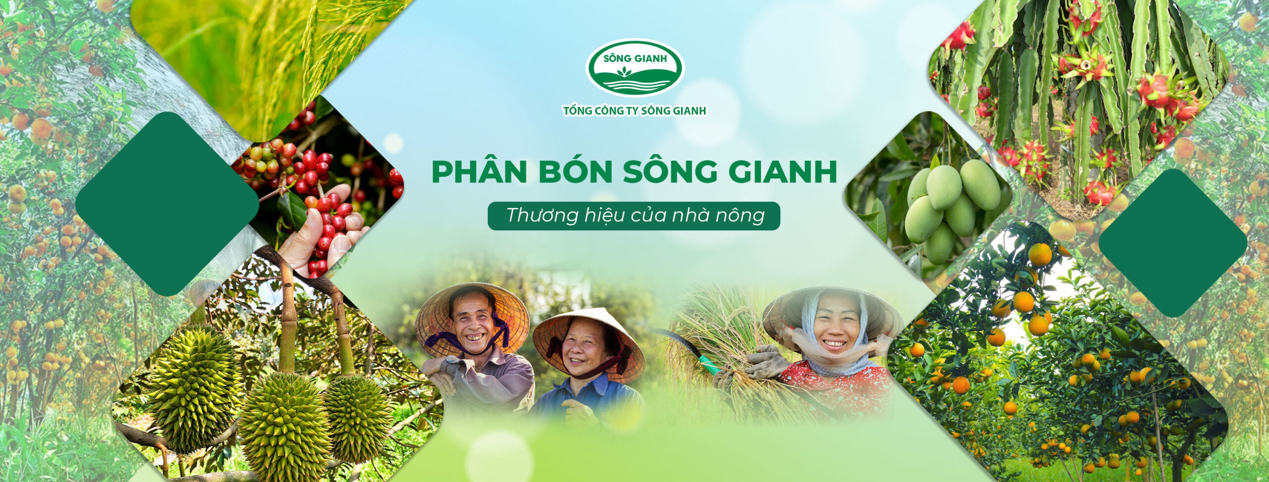 Dự án Phân Bón Sông Gianh